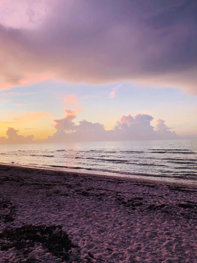 Cabana Tortuga A Unos Pasos De La Playa Apartment เอลกูโย ภายนอก รูปภาพ