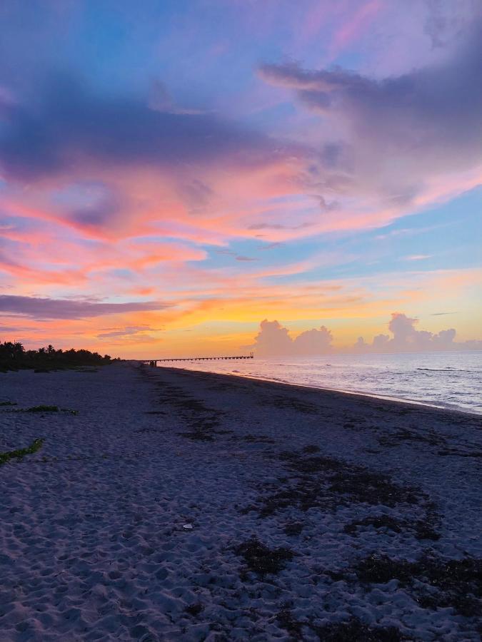 Cabana Tortuga A Unos Pasos De La Playa Apartment เอลกูโย ภายนอก รูปภาพ