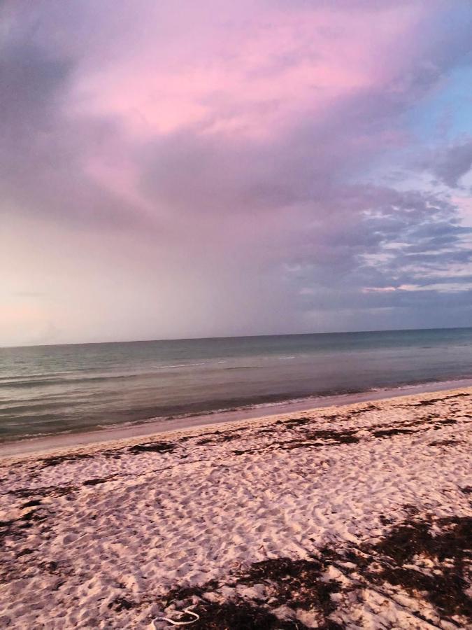Cabana Tortuga A Unos Pasos De La Playa Apartment เอลกูโย ภายนอก รูปภาพ